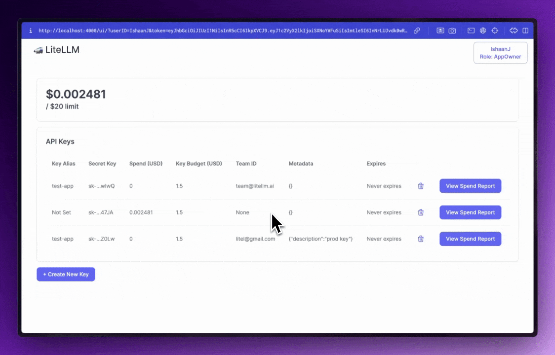LiteLLM Proxy Dashboard screenshot